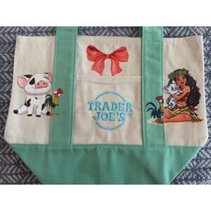 Disney Moana Pua and Hey Hey Custom Made Trader Joes Mini Tote One of a Kind